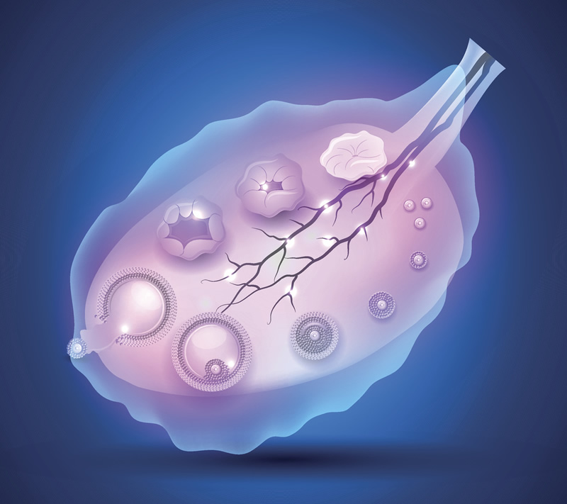 2026年南京试管婴儿医院排名前十强榜单：江苏省人民医院、南京鼓楼医院等三甲医院领衔，附不明原因不孕试管医生精选指南